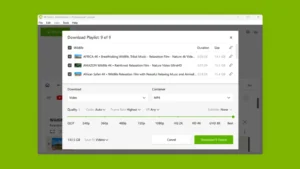 4K Video Downloader Plus 2026 – Descargar Full Crack Español (Licencia Pro) 3