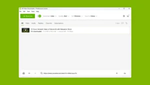 4K Video Downloader Plus 2026 – Descargar Full Crack Español (Licencia Pro) 5