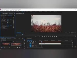 Adobe Premiere Pro 2025 CC – Descargar Full Crack Español con Licencia Permanente 2