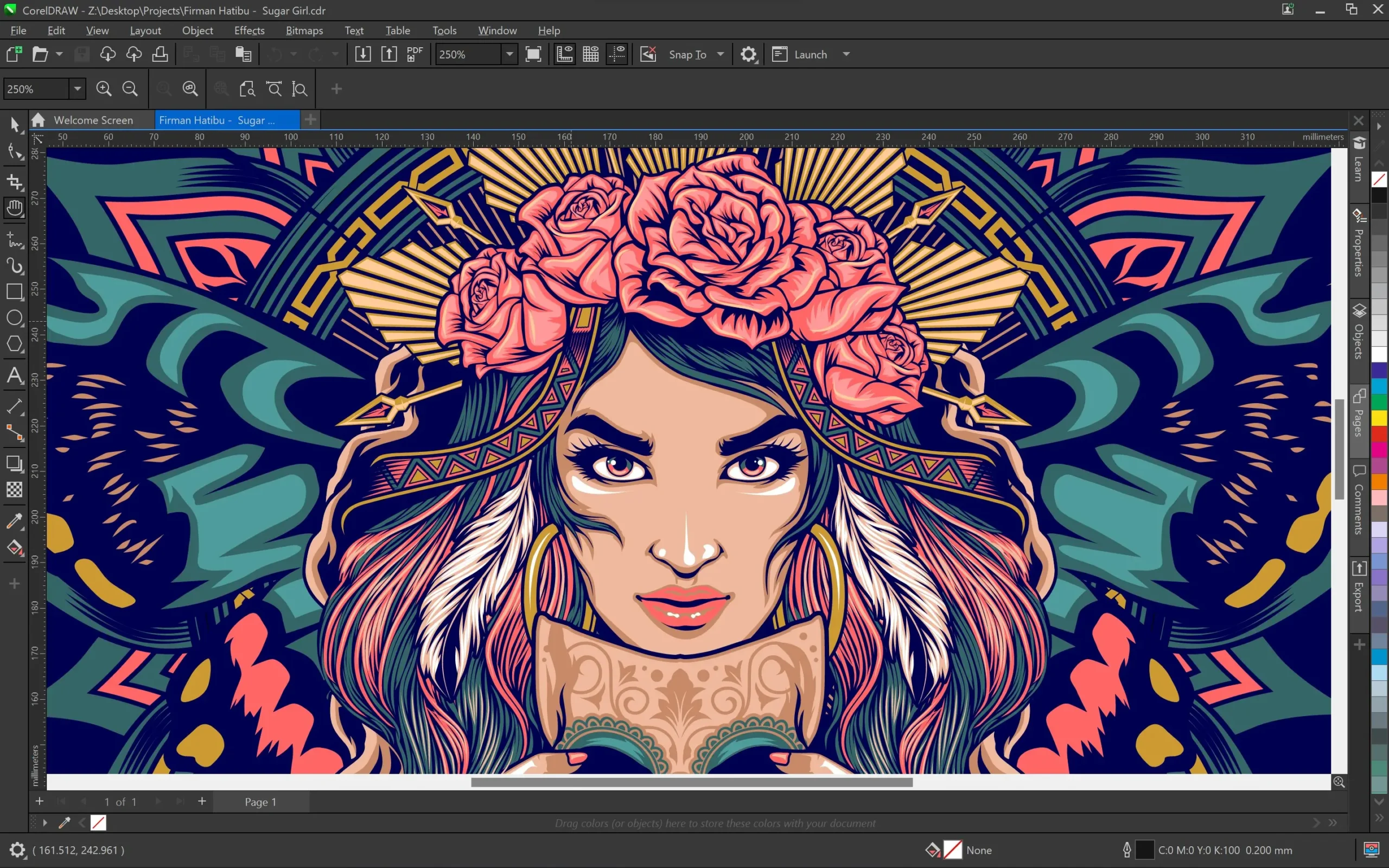 CorelDRAW Graphics Suite 2025 – Descargar Full Activado (Licencia Permanente) 5